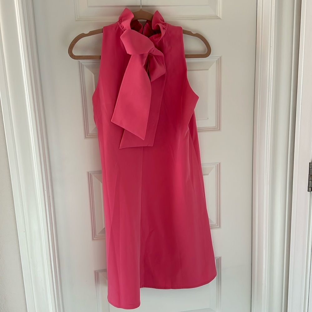 Hot Pink Blythe Dress NWT Size Small Tuckernuck.